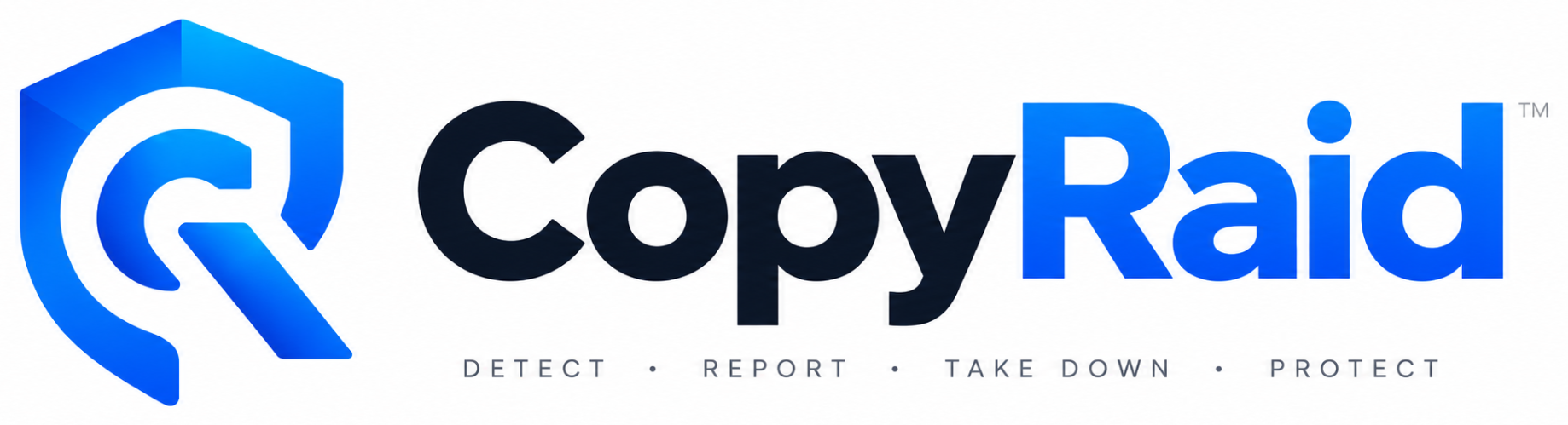 CopyRaid